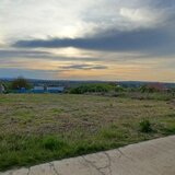 Visani, Barnova